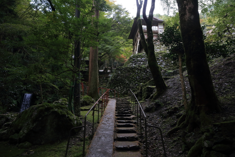 阿弥陀寺_e0051888_1663612.jpg