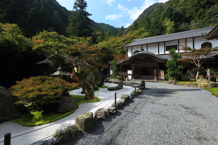 阿弥陀寺_e0051888_16723.jpg