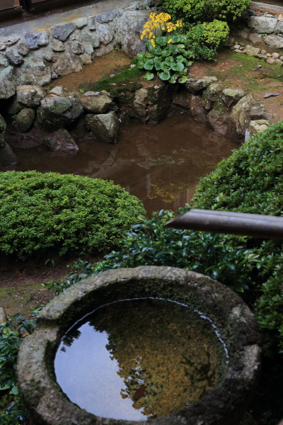 阿弥陀寺_e0051888_1684486.jpg