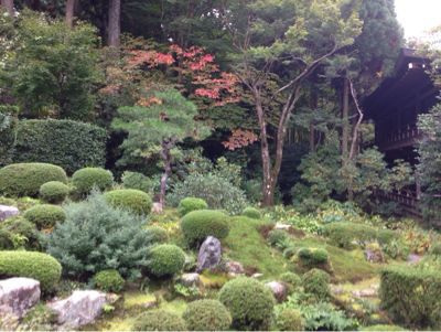 今年の紅葉は*\\(^o^)/*_c0108595_19554452.jpg