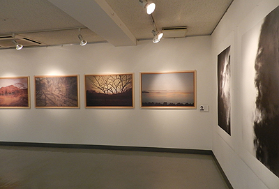 【北室】f.4.3. Photography exhibition　【南室】絵ゴバラエティパック_f0106896_16375954.jpg