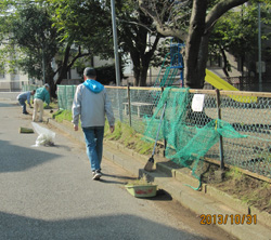 茅ヶ崎浜之郷ＴＢＳ団地三角公園周辺清掃_c0220597_10562122.jpg