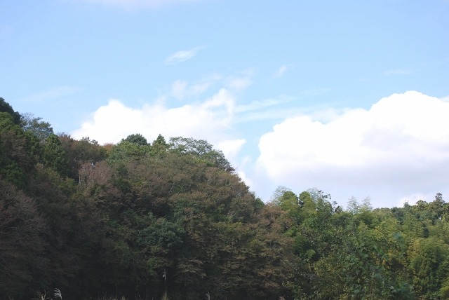 e0025300_1841346.jpg