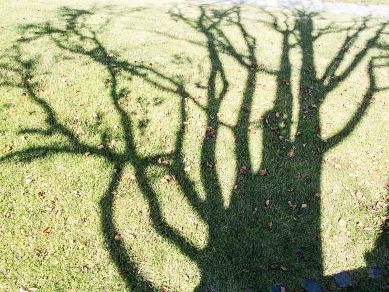 f0224100_7125140.jpg