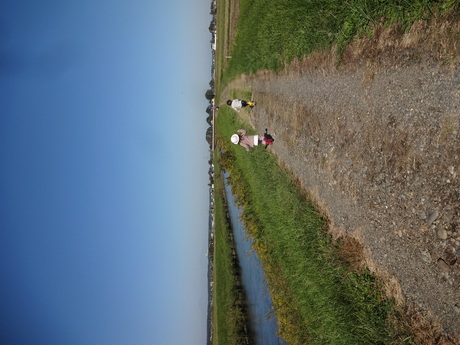 c0248102_0155119.jpg