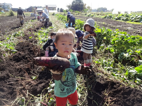 真岡のまんまる農園さんでサツマイモ掘り_c0248102_0181864.jpg