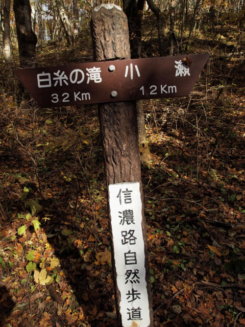 e0039703_17273419.jpg
