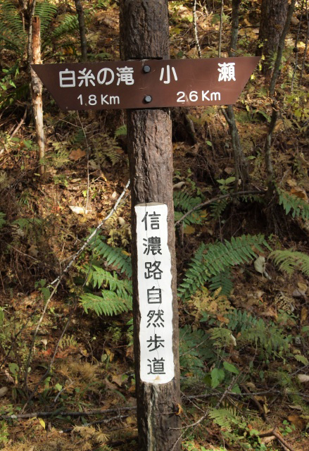 e0039703_17312959.jpg