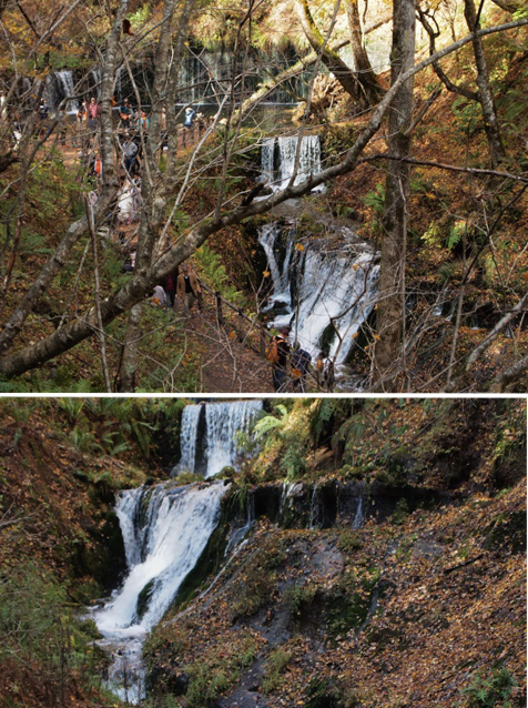 e0039703_17392855.jpg