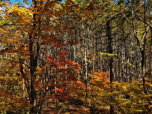 e0039703_18201314.jpg