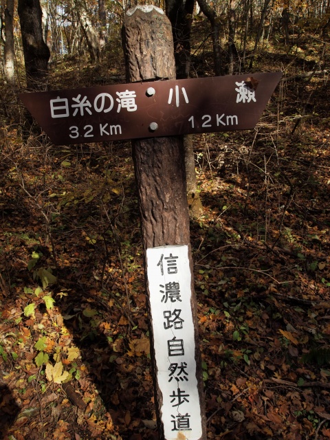 e0039703_18395491.jpg
