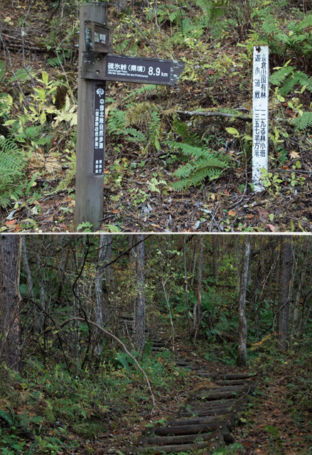 e0039703_1846140.jpg