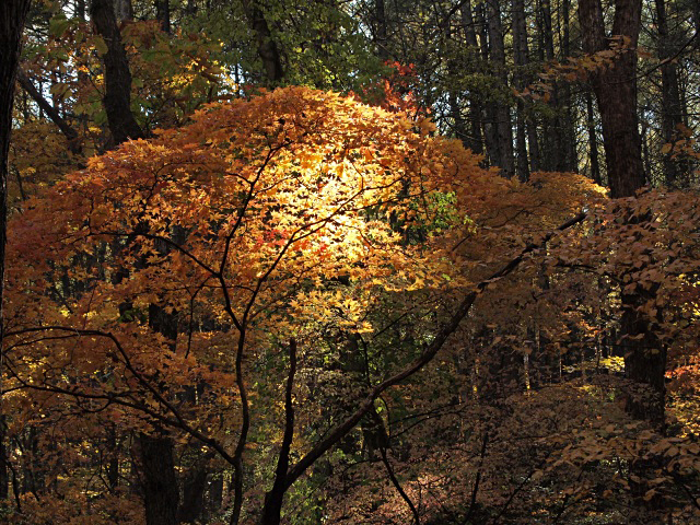 e0039703_18594228.jpg