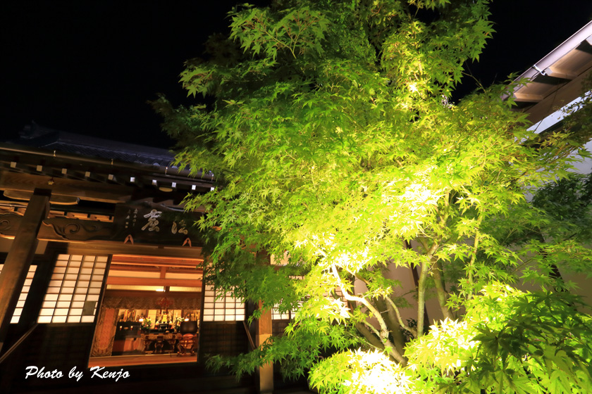 a0097006_23101597.jpg
