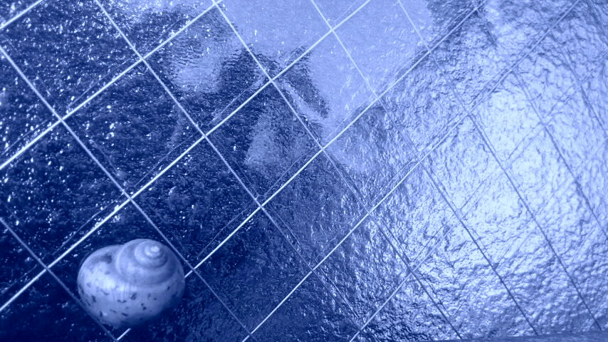 f0155808_1845633.jpg