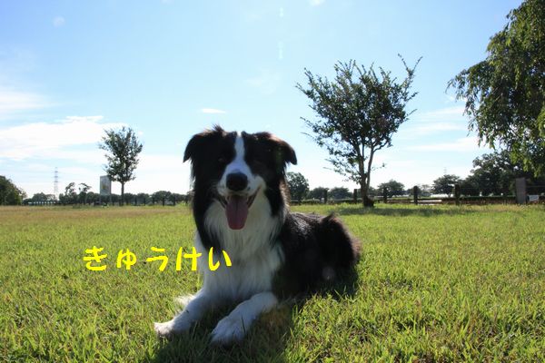 d0224111_2095955.jpg