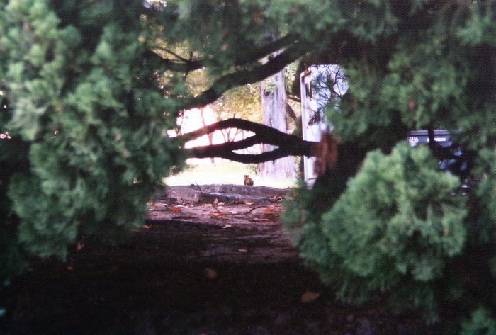 e0198111_8252394.jpg