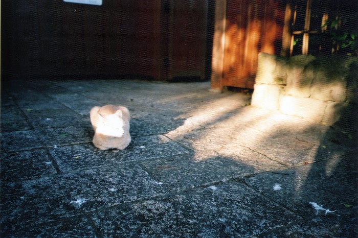 e0198111_8362070.jpg