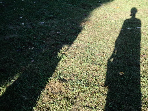c0146714_239888.jpg
