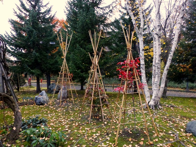 e0336214_10173613.jpg