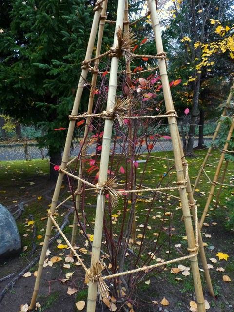 e0336214_10181795.jpg