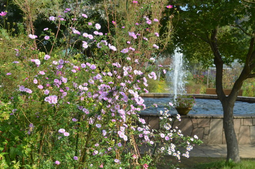 e0135518_170611.jpg