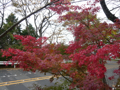 a0238019_1115447.jpg