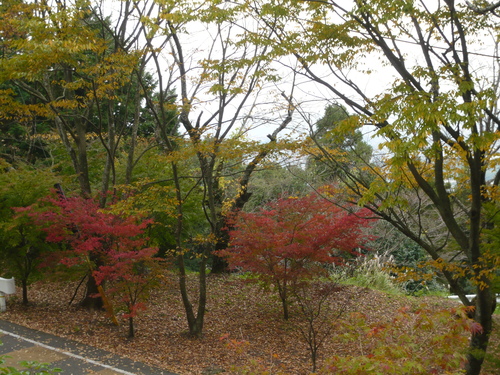a0238019_118539.jpg