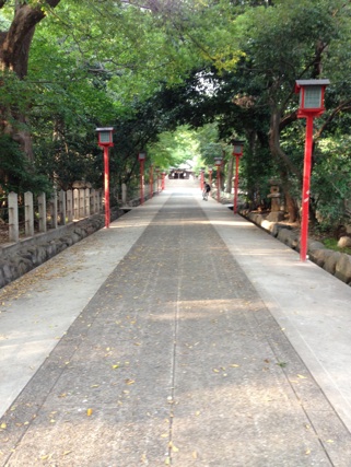 a0155921_9293038.jpg