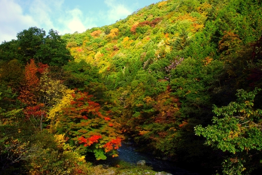 e0256122_1702560.jpg