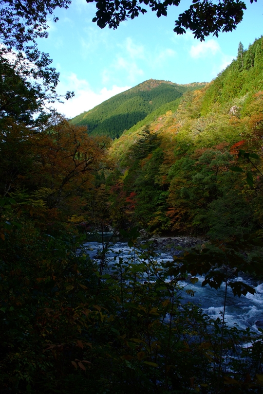 e0256122_1715465.jpg