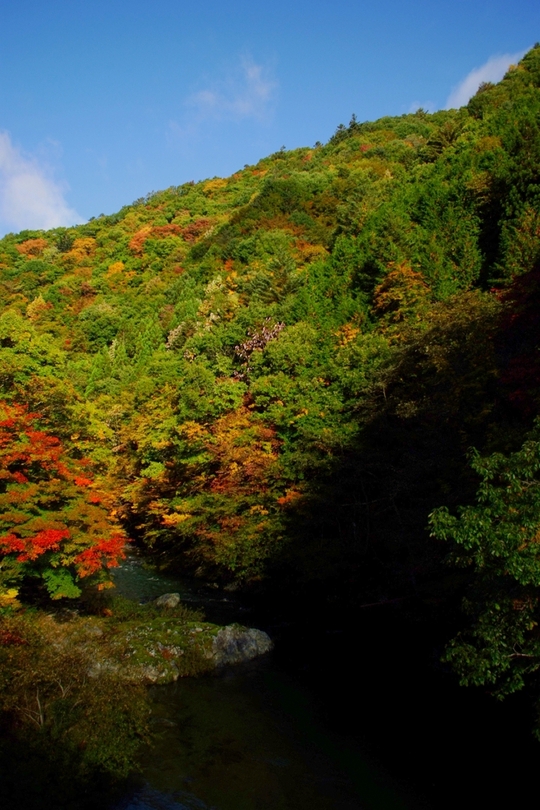 馬瀬の紅葉　その２_e0256122_17536.jpg