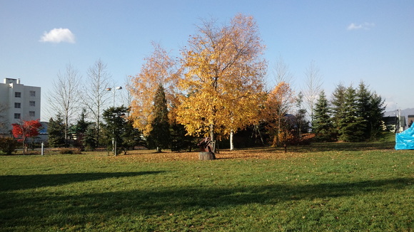 e0227023_22244668.jpg