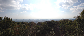 e0103024_12521947.jpg