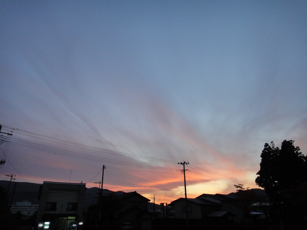 11月1日(金)_c0111229_18342441.jpg