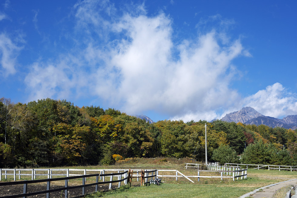 今日の清里の紅葉_b0179231_1447865.jpg