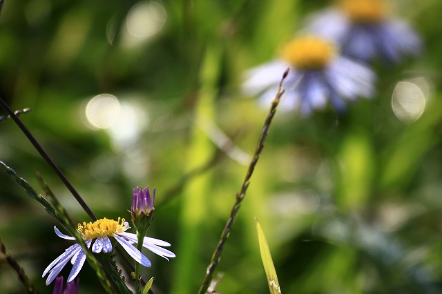a0045932_19204072.jpg