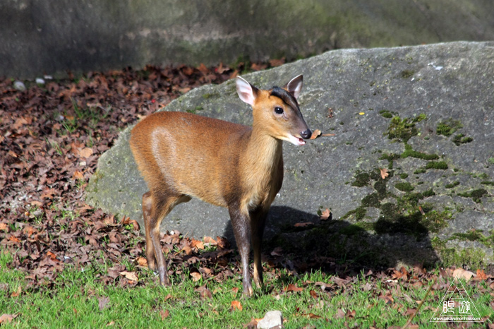 361 Hellabrunn Zoo ~ミュンヘンの動物園~_c0211532_21321327.jpg