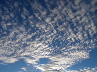 e0272335_1957480.jpg