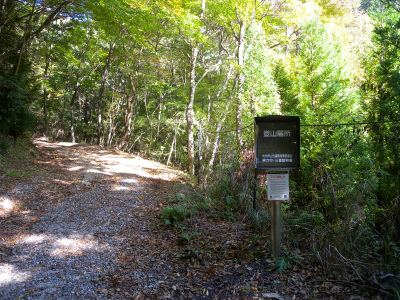 e0272335_4424493.jpg