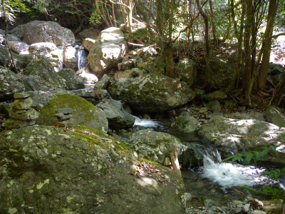 e0272335_4512022.jpg