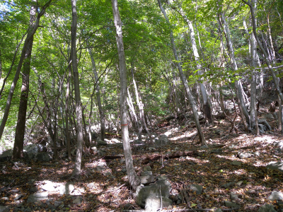 e0272335_4583660.jpg