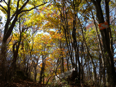 祖母山系の山旅（一泊二日）＆池の原の紅葉に感動！_e0272335_5135160.jpg