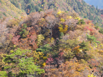 祖母山系の山旅（一泊二日）＆池の原の紅葉に感動！_e0272335_5222547.jpg