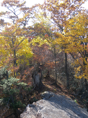 祖母山系の山旅（一泊二日）＆池の原の紅葉に感動！_e0272335_5275759.jpg