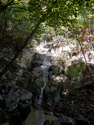 e0272335_52814.jpg
