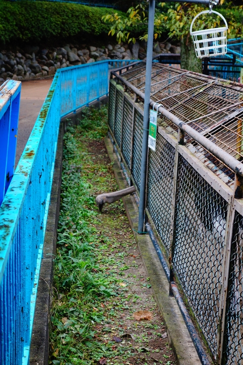 横浜市立野毛山動物園散策~FPD International 2013 その8_a0287336_22131570.jpg