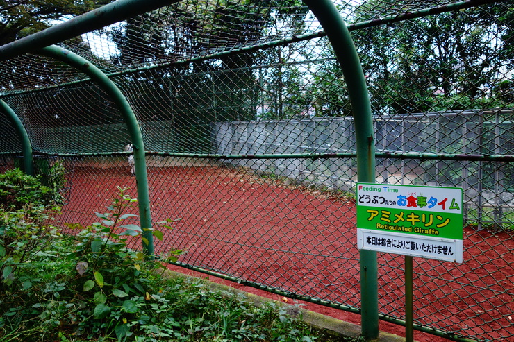 横浜市立野毛山動物園散策~FPD International 2013 その8_a0287336_22135617.jpg