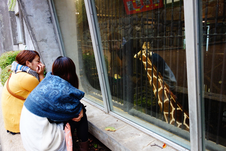 横浜市立野毛山動物園散策~FPD International 2013 その8_a0287336_2215215.jpg