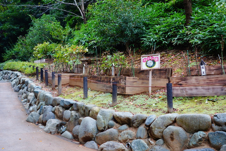 横浜市立野毛山動物園散策~FPD International 2013 その8_a0287336_22152958.jpg